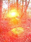 DSC02054.jpg