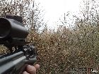 p3x471_20.jpg