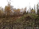 p3x471_21.jpg