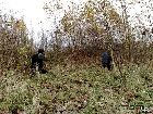 p3x471_23.jpg