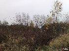 p3x471_29.jpg