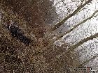 as231207_18.jpg