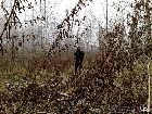 as231207_29.jpg