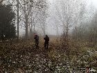 as231207_34.jpg