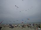 IMG_2050.jpg
