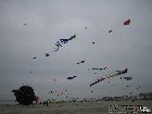 IMG_2063.jpg