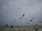 IMG_2065.jpg