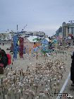IMG_2076.jpg