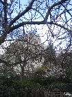londre060402_116.JPG