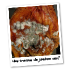 Jambon.png