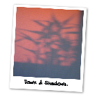 dawn.png